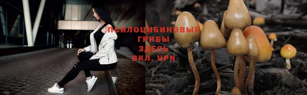 СК Алзамай
