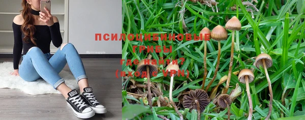 марки nbome Алексеевка